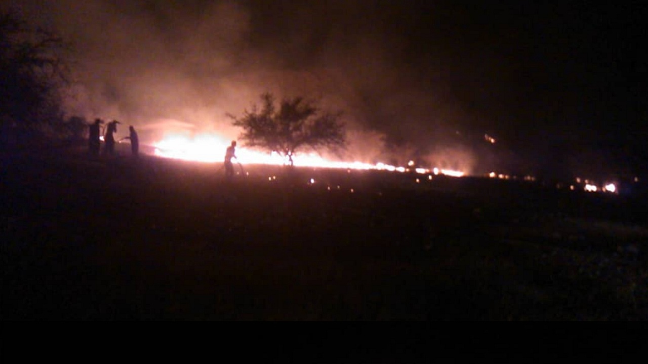 آتش سوزی حوالی کارخانه سیمان دشتستان مهار شد
