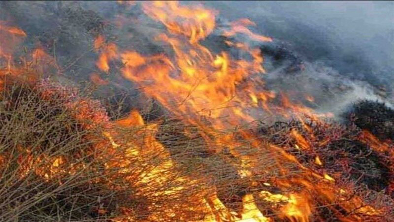 مهار آتش سوزى در مراتع قیرو کارزین