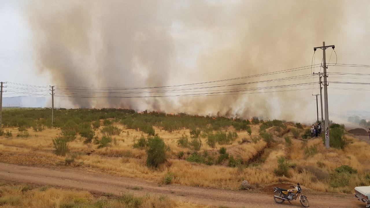 آتش سوزی در اراضی شهرستان بویین زهرا