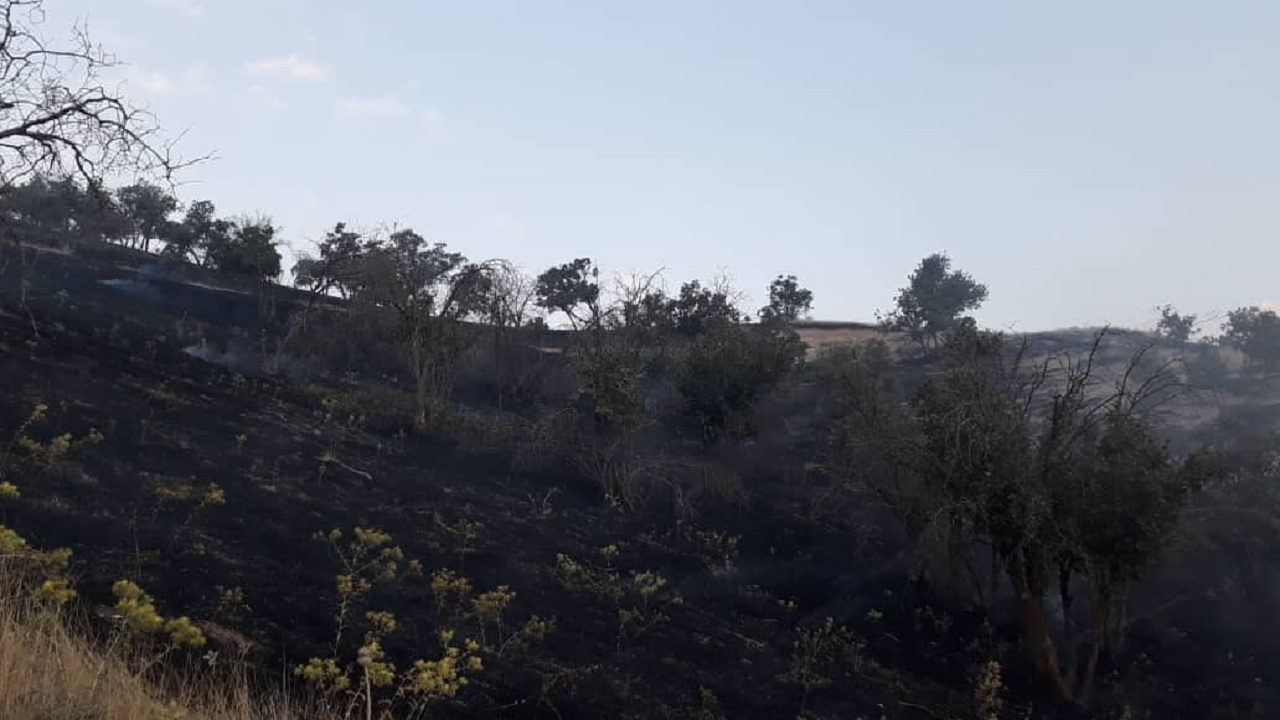 آتش سوزی در جنگل‌های بلوط بلند مهار شد/نیروهای امدادی در منطقه مستقر هستند