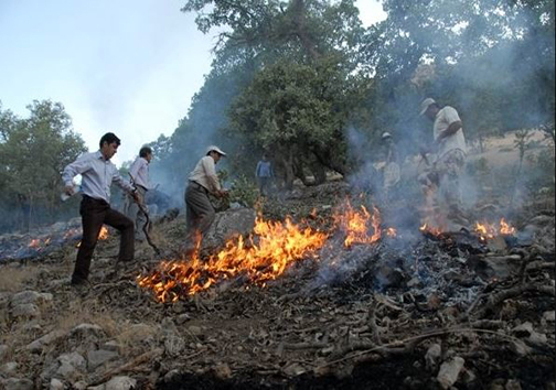 اجرای مانور مهار آتش سوزی در حاشیه سد مهاباد