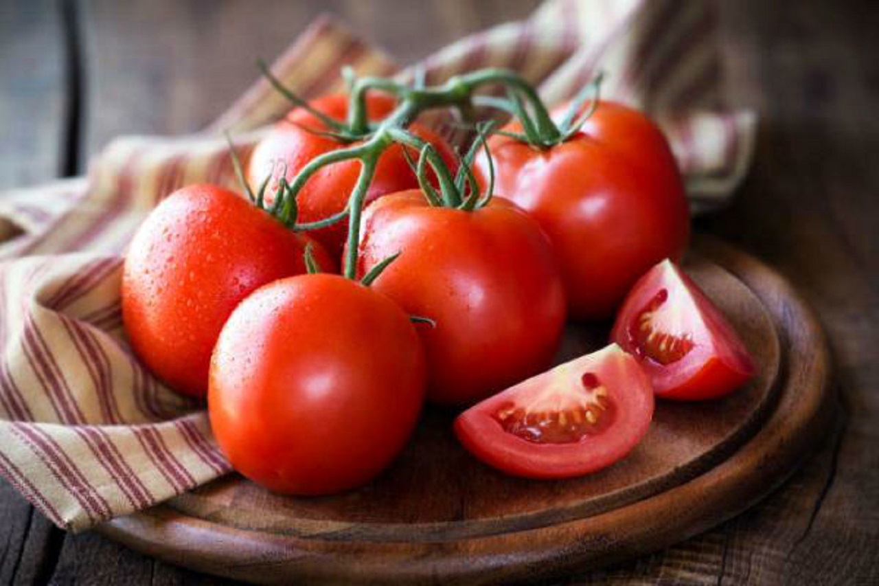 تصویری جالب از مزرعه کاشت گوجه فرنگی