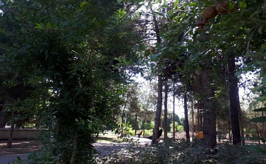 بوستان فدک قم