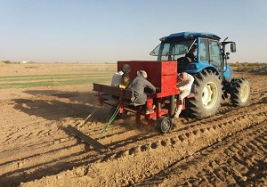 توزیع بیش از ۳۶ میلیون لیتر نفتگاز در بخش کشاورزی کردستان