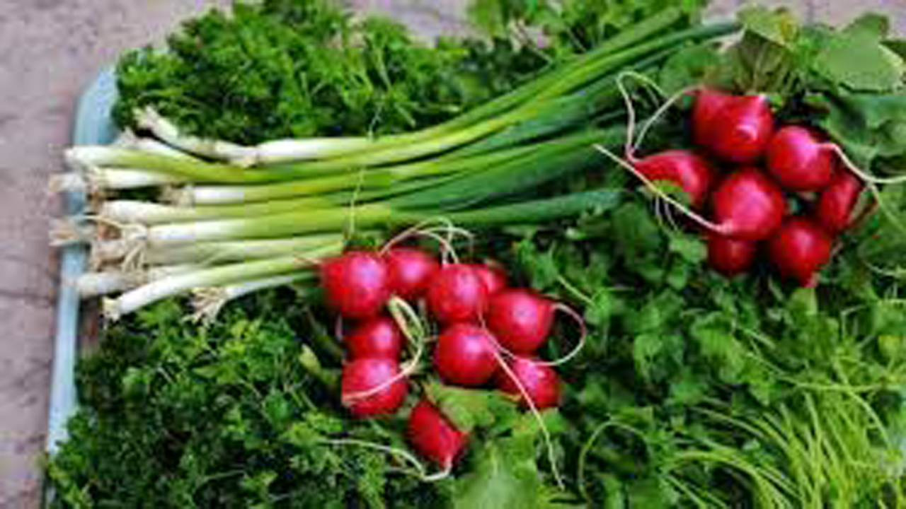 سبزیجات لامرد محصولی ارگانیک