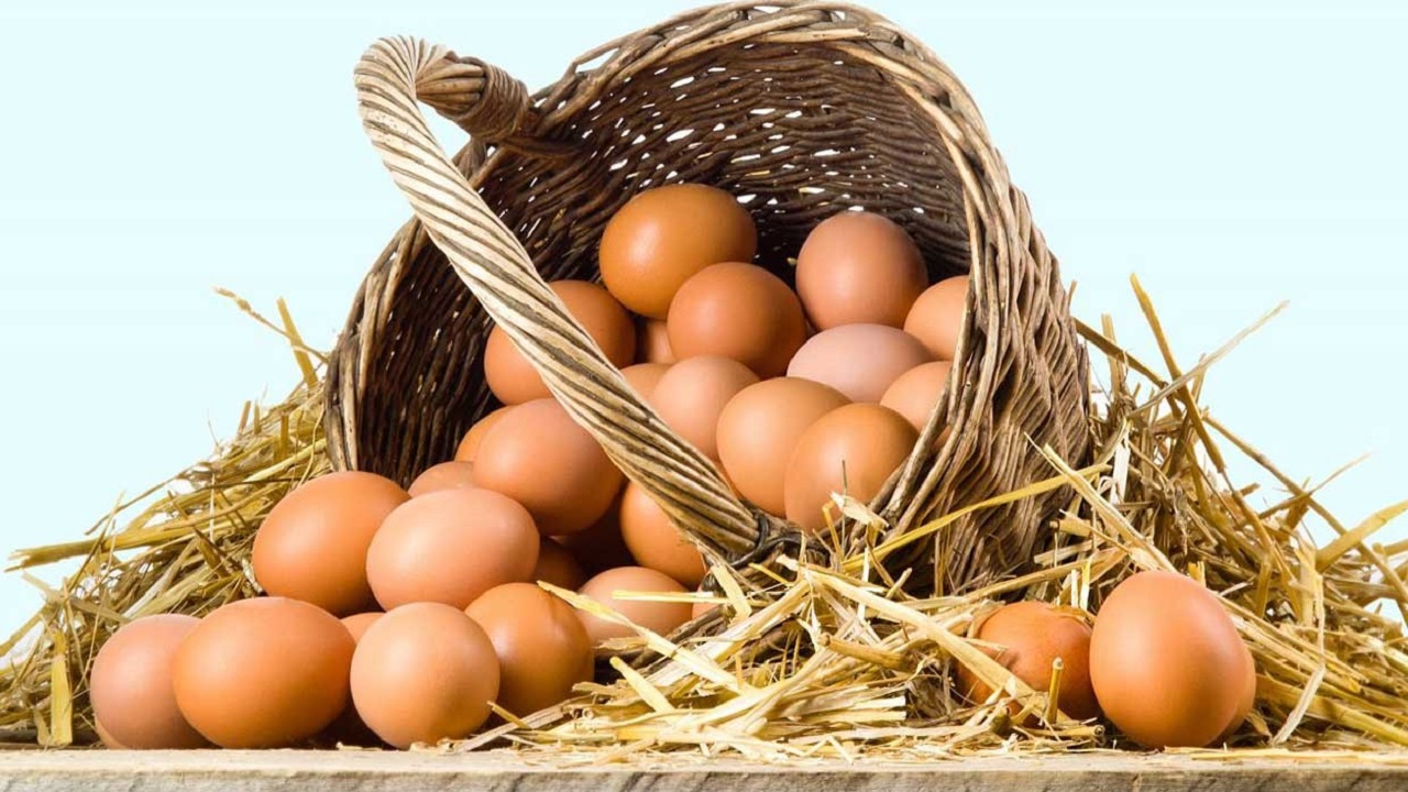 قیمت تخم مرغ پوسته قهوه ای در میادین میوه و تره بار چقدر است؟