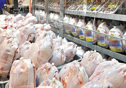 توزیع مرغ منجمد در فروشگاه‌های زنجیره‌ای آذربایجان غربی