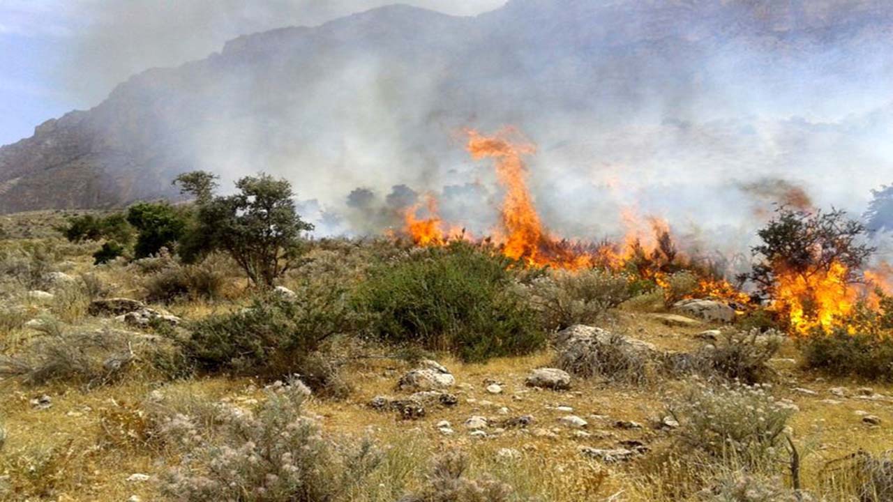 آتش سوزی در منطقه تپه تلویزیون کازرون