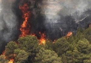 مهار آتش سوزی در جنگل‌های نوار مرزی جمهوری آذربایجان با پارس‌آباد مغان