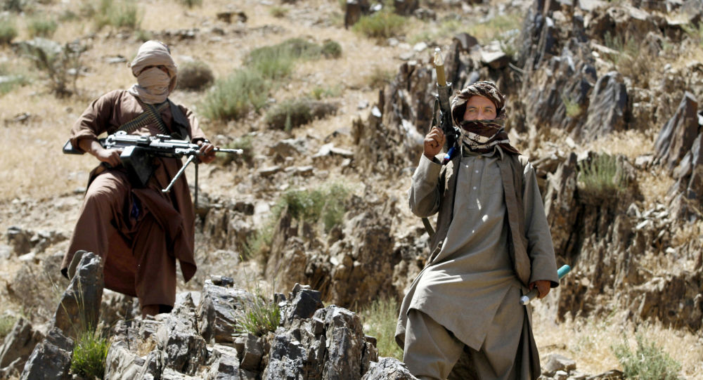 کشته و زخمی‌شدن ۲۹ جنگجوی طالبان در ولایت غور