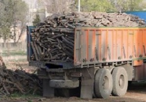 کشف یک تن چوب قاچاق در سروآباد