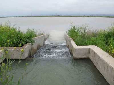 قابلیت انتقال آب کانال فومنات ۳۰ درصد کمتر از نیاز آبی شالیکاران است