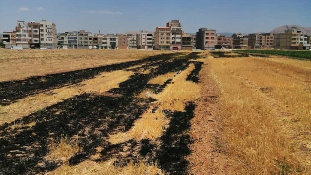 مهار آتش سوزی محصولات کشاورزی در شهرکرد