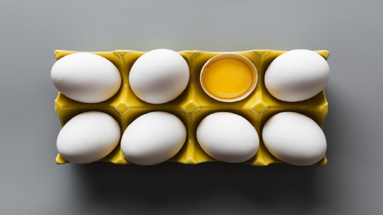 بازار تخم مرغ تعریفی ندارد؛ تولید تخم مرغ به یک میلیون و ۱۰۰ هزار تن می‌ رسد