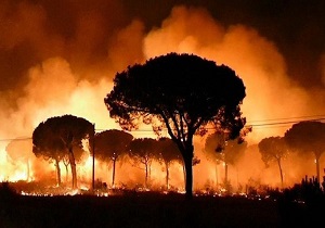 آتش در ارتفاعات سوسن ایذه می‌تازد/ تلاش برای مهار حریق ادامه دارد