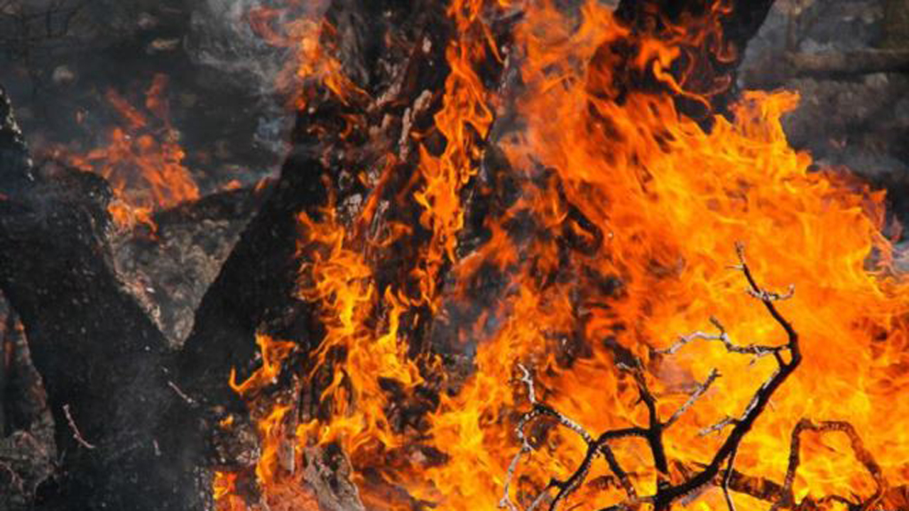 آتش سوزی در جنگل‌ها و مراتع کوهدشت مهار شد