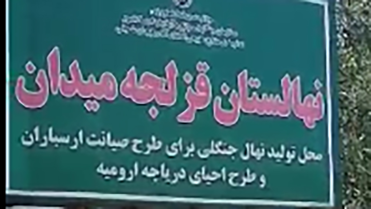 خشکسالی نهالستان در قزلچه میدان + فیلم