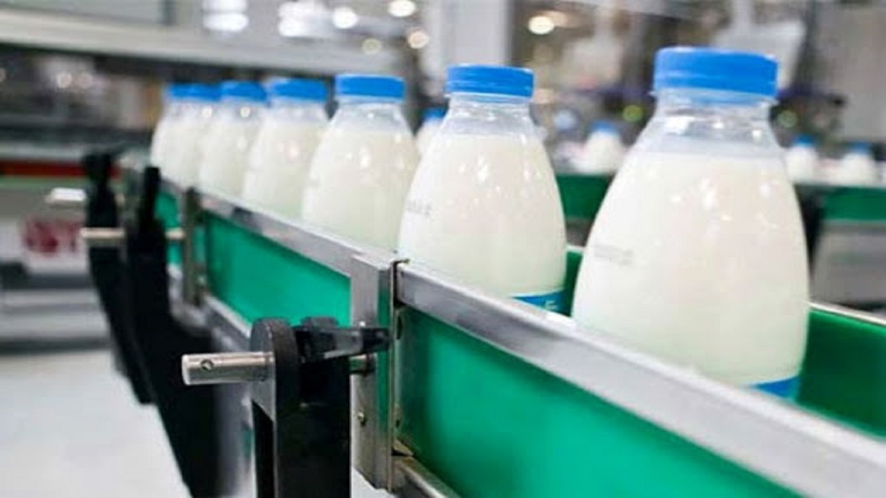 تولید ۲۳۲ هزار تن شیر در چهارمحال و بختیاری