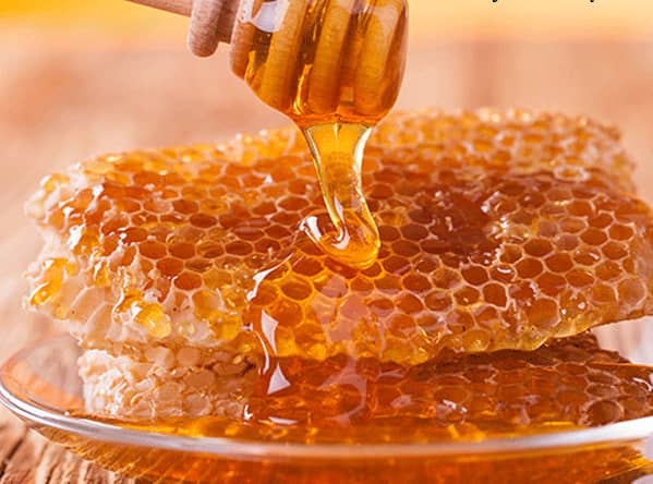 تولید سالانه ۱۸۵ تن عسل در نی ریز