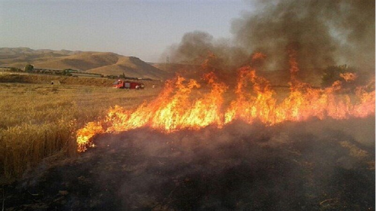افزایش سه برابری آتش سوزی‌های باغات و مراتع در قزوین