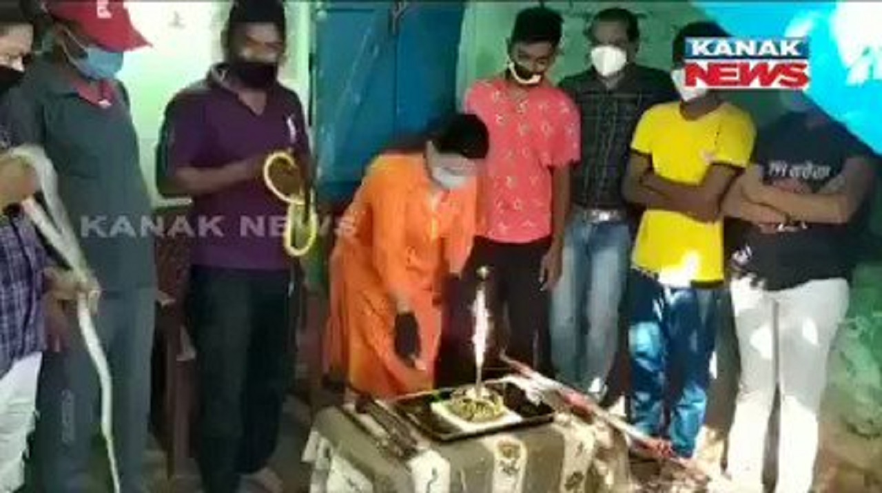 کیک دادن به مارها توسط مارگیران هندی!
