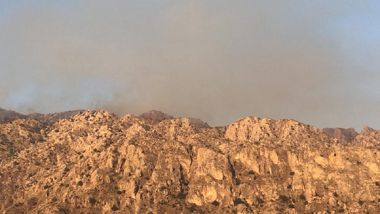 آتش‌سوزی در ارتفاعات بوشکان دشتستان تحت کنترل است/ حریق مهار شد
