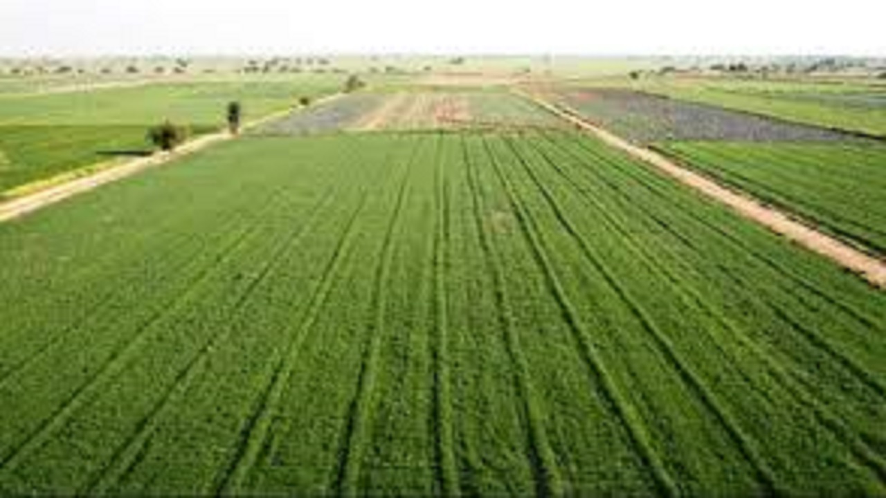 ۱۸۱ میلیارد تومان پروژه جهاد کشاورزی در استان سمنان افتتاح می‌شود