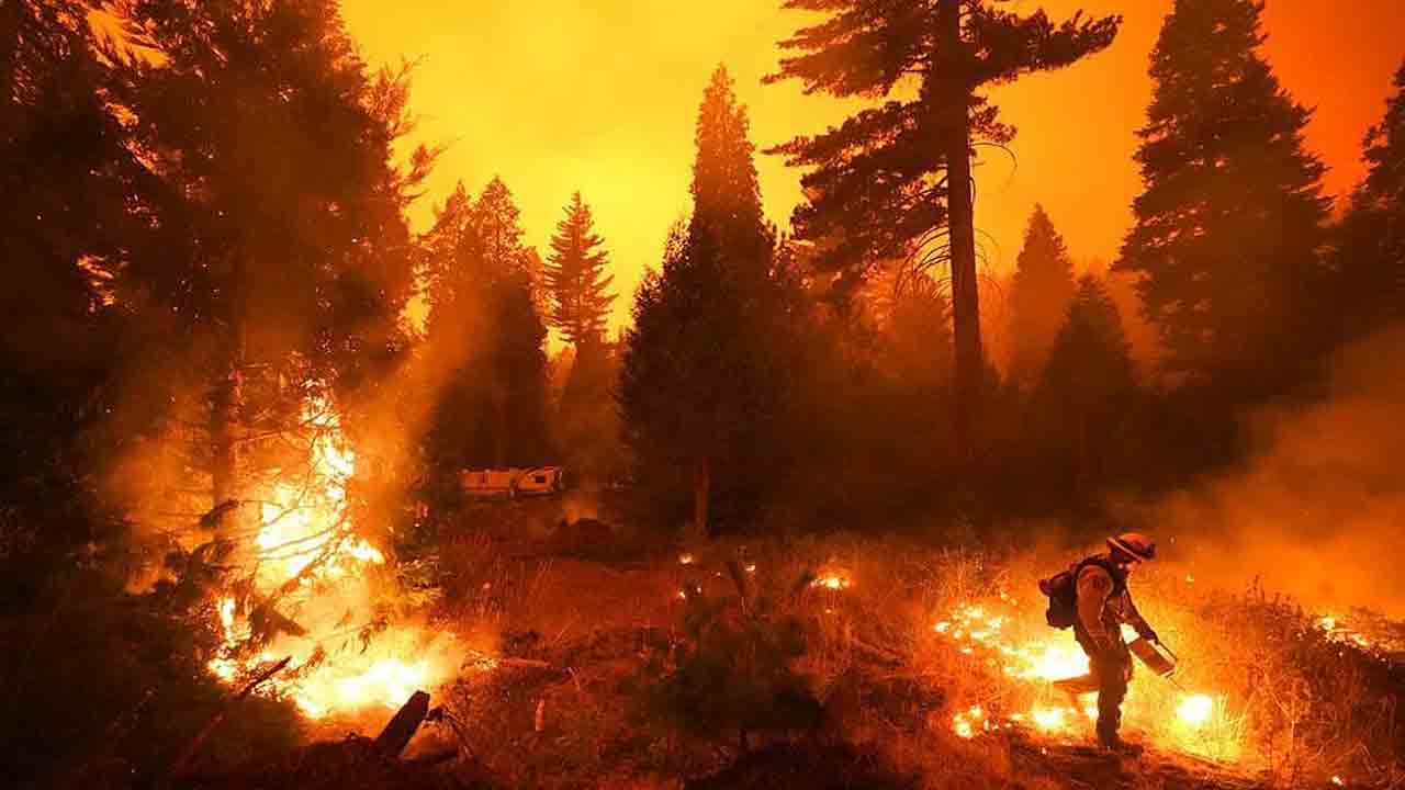 جنگل‌های کالیفرنیا در میان شعله‌های سوزان آتش + فیلم
