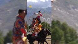 نردبانی با چندین کاربرد جالب + فیلم