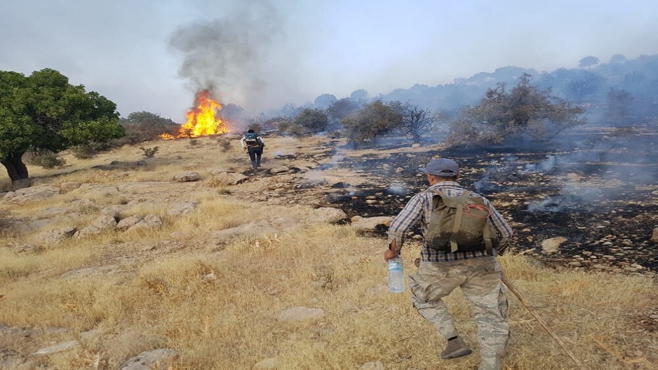 آتش سوزی ارتفاعات شهرستان‌های پاسارگاد و مرودشت مهار شد