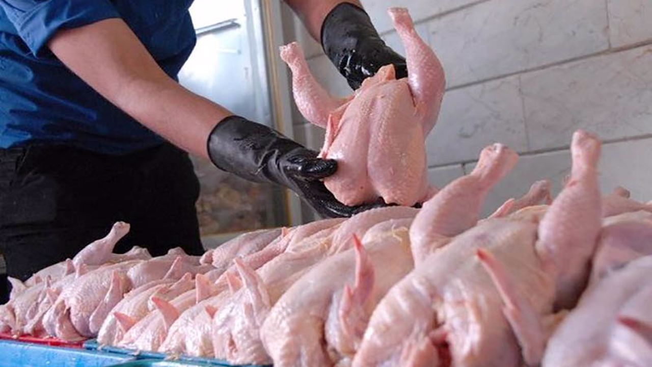 قیمت جدید مرغ در گلستان اعلام شد / هر کیلو ۱۷ هزار تومان