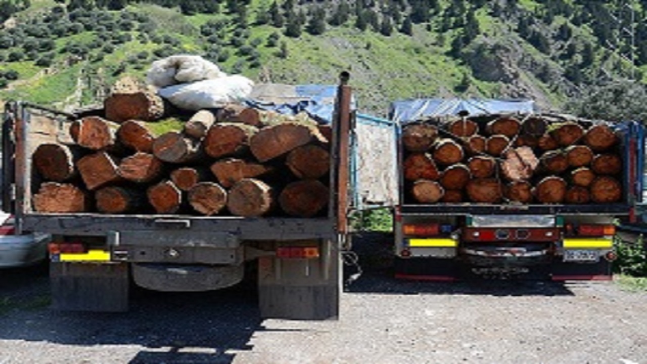 ۲۰ تن چوب قاچاق در سنندج کشف شد