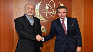 ماجرای سفر مدیر کل آژانس بین‌المللی انرژی اتمی به ایران + فیلم
