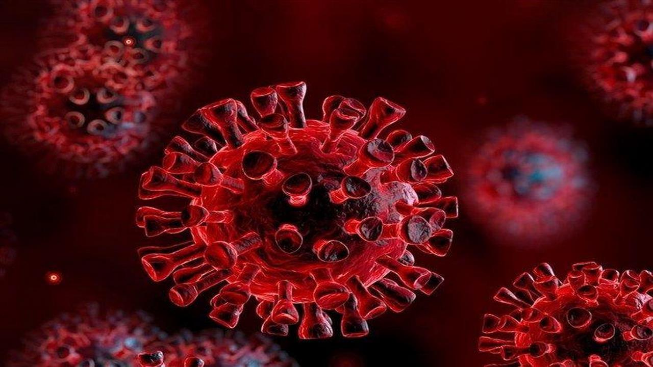 شناسایی ۱۲۵ بیمار جدید مبتلا به کرونا ویروس در ایلام