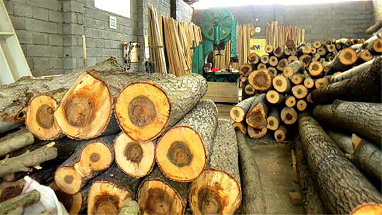 بازار چوب