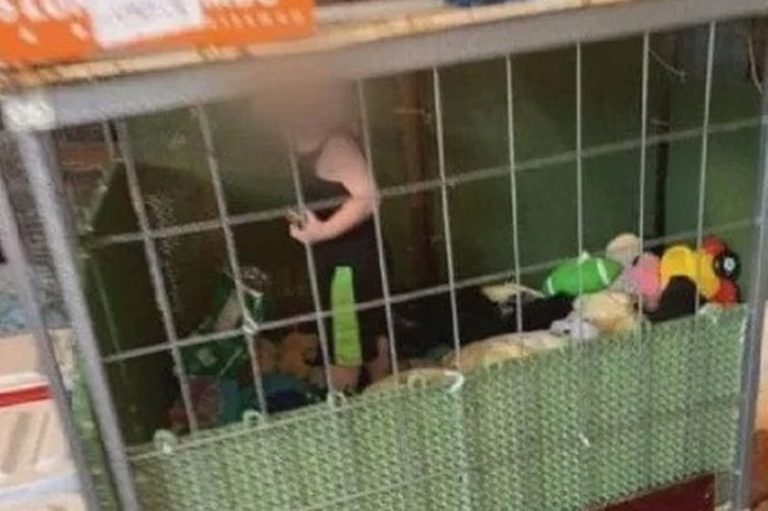 دستگیری مادری که کودکش را در قفس با یک مار بوآ زندانی کرده بود