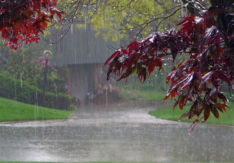 بارندگی ها در کرمان افزایش داشته است