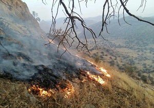 آتش سوزی در ۳ نقطه منابع طبیعی اندیکا مهار شد