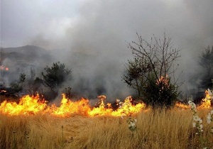 مهار آتش سوزی در پارک ملی دز