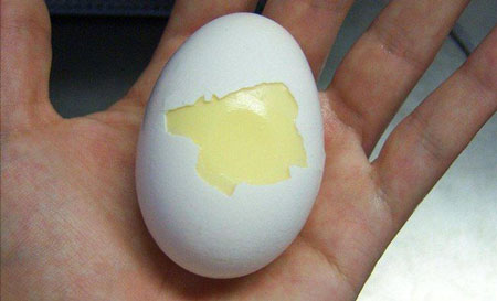 تخم مرغ با زرده و سفیده مخلوط