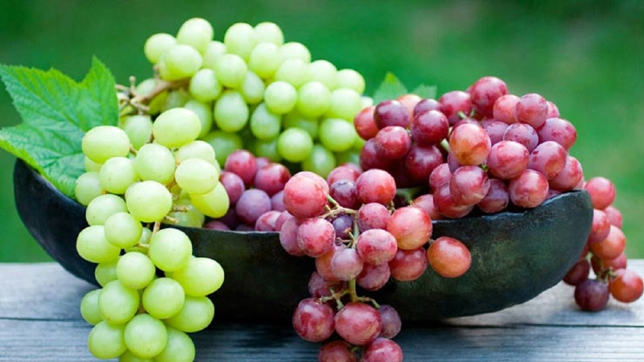 تولید بیش از ۲ هزار تن انگور در خوسف