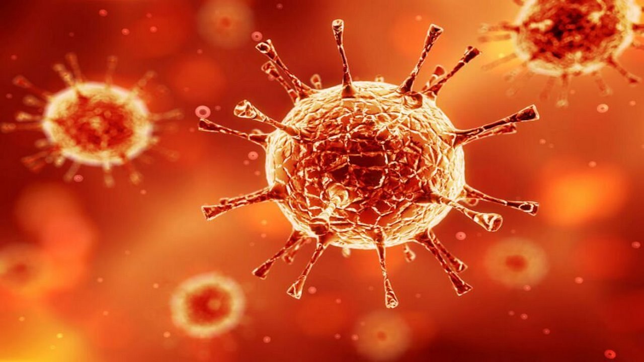 شناسایی ۳۷۵ مورد جدید مبتلا به کرونا ویروس در ایلام