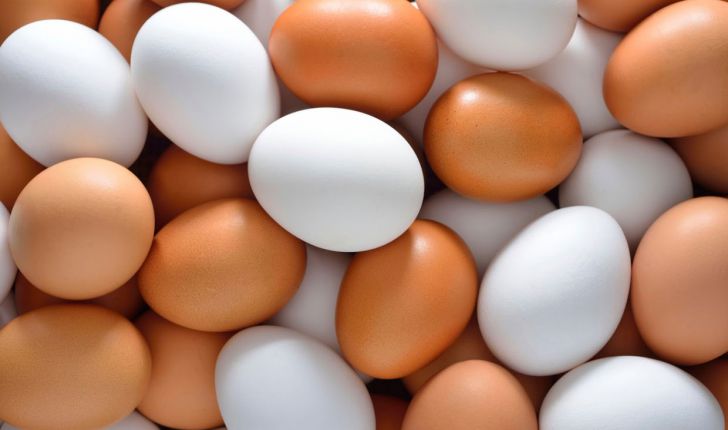 مازاد بر نیاز نیمی از تخم مرغ تولیدی آذربایجان شرقی