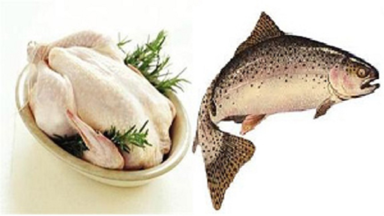 نرخ هر کیلو مرغ ۲۵ هزار تومان شد/ افزایش ۱۰۰درصدی قیمت ماهی