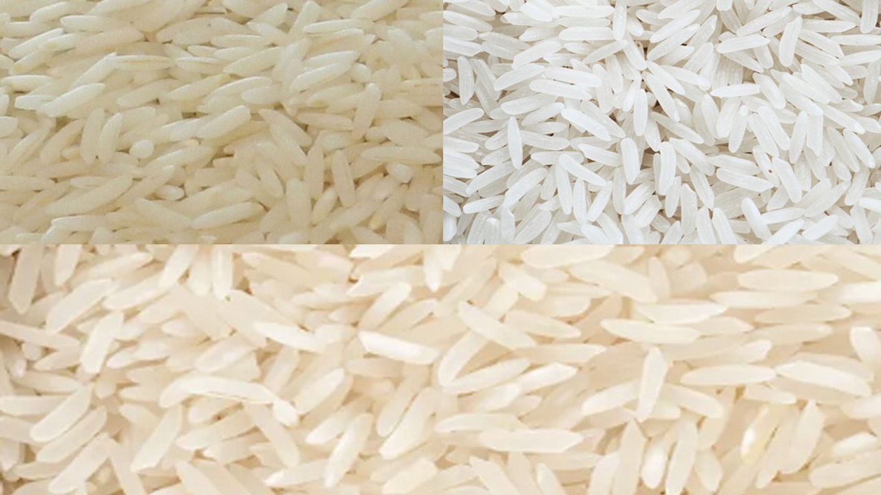 قیمت جدید انواع برنج ایرانی و وارداتی در میادین میوه و تره بار پایتخت