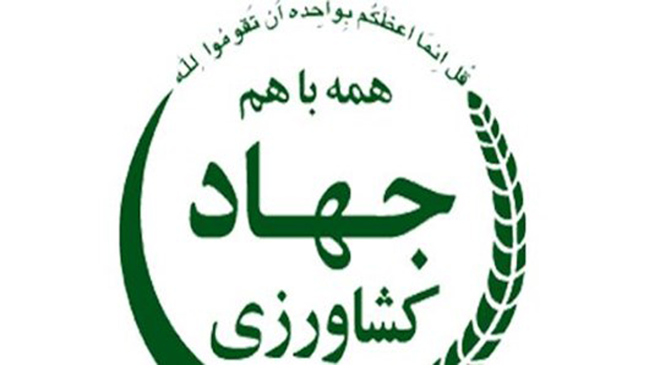 ‌ظرفیت مجاز ملاک توزیع نهاده های مرغداران در فارس