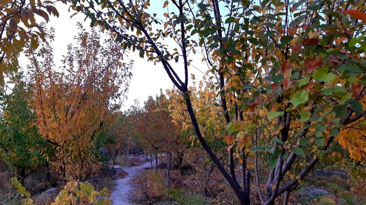 نمایی زیبا از آخرین پاییز قرن در باغ‌های شهریار + فیلم و تصاویر