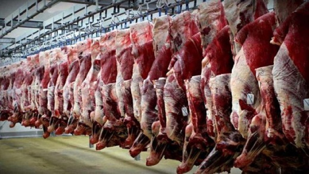 قاچاق دام عامل اصلی افزایش قیمت گوشت قرمز در کردستان است