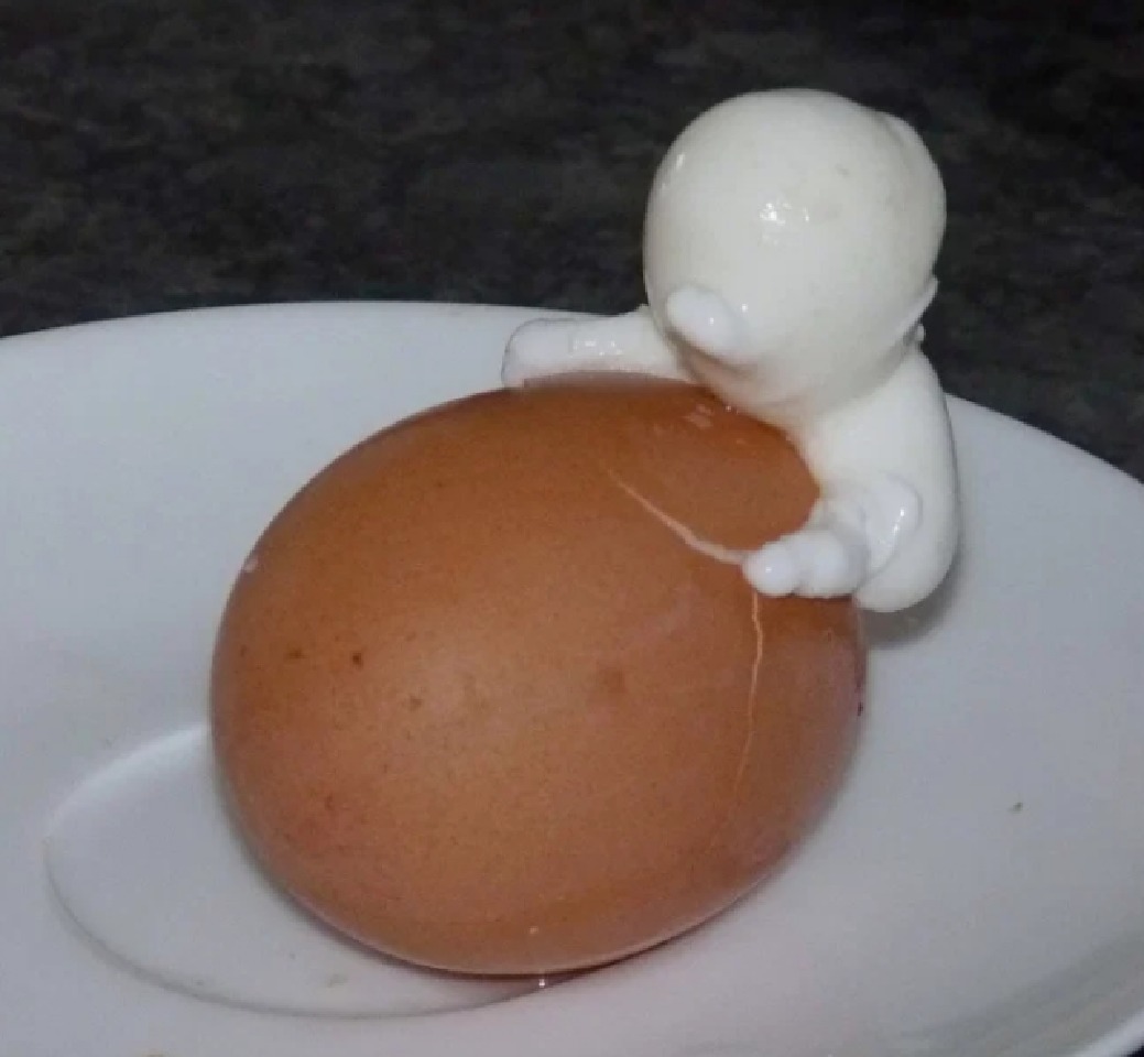 خروج آدمک از تخم مرغ