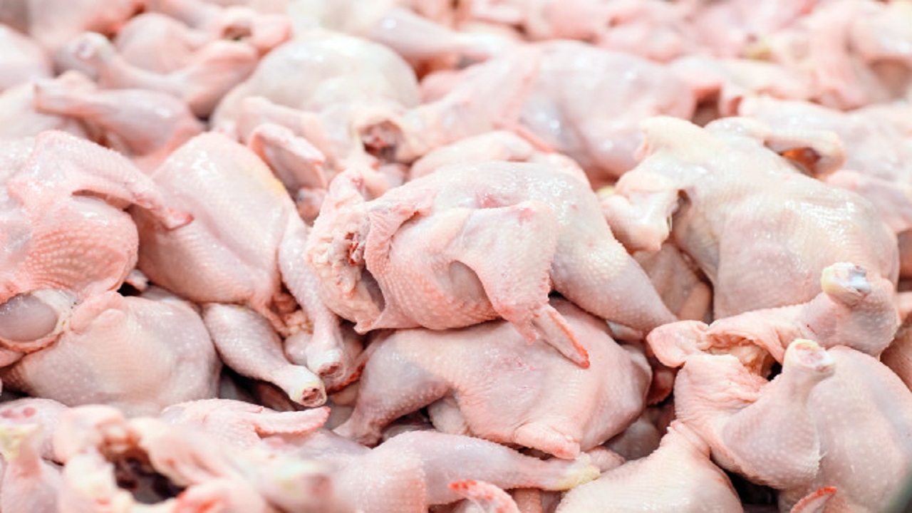 عرضه مرغ با نرخ بالای ۳۰ هزار تومان گرانفروشی است